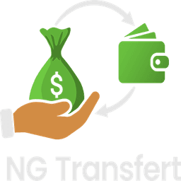NG Transfert Logo